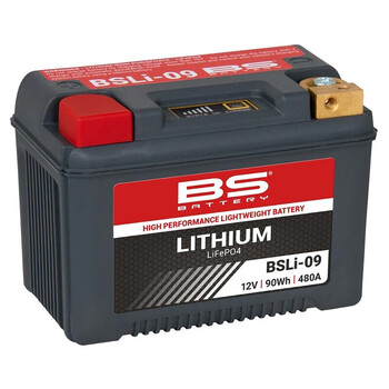 Batterie Lithium-Ion BSLi-09 BS Battery