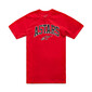 t-shirt-alpinestars-dunker-csf-rouge-1.jpg