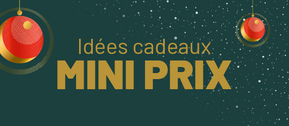 dées cadeaux mini prix